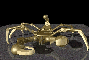 GoldScorpion89x60.gif (3653 bytes)