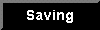 SavingOn.gif (263 bytes)